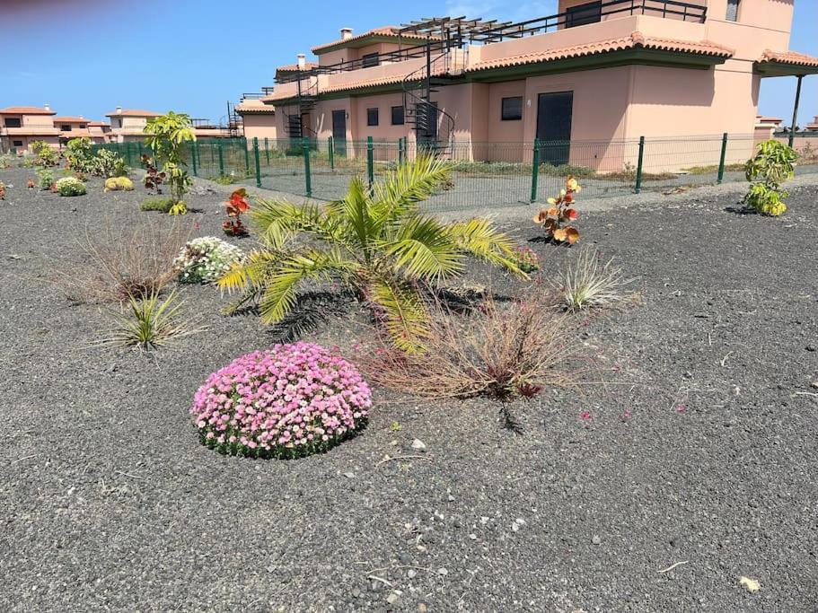 拉哈雷斯Casa Alaia别墅 外观 照片